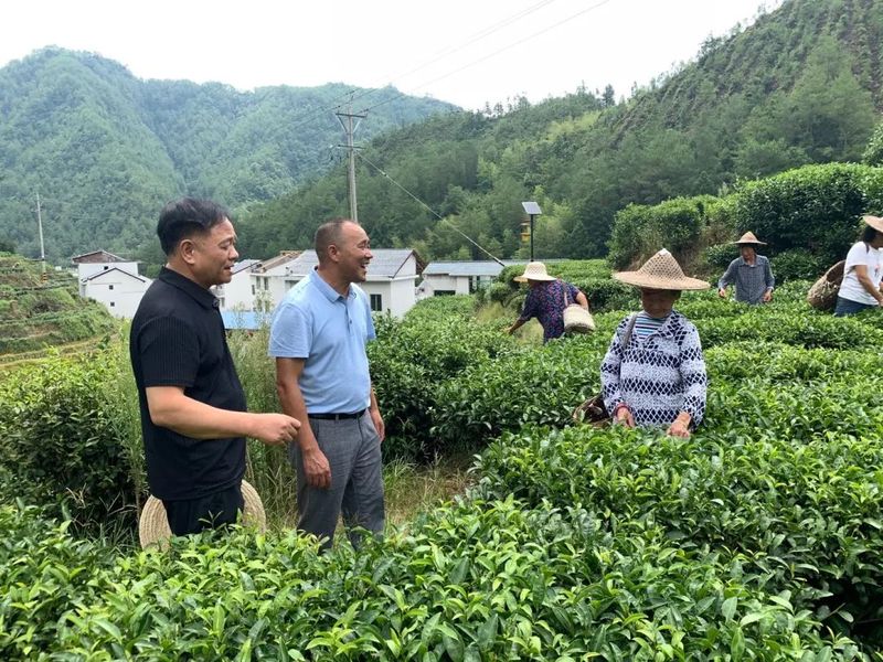 李振生(左)回访下党村“下乡的味道”扶贫定制茶园项目.jpg