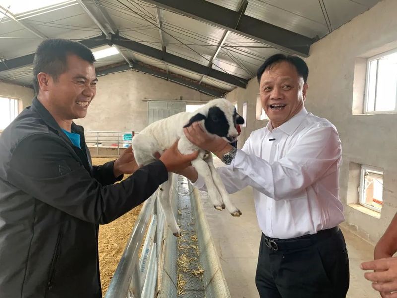 李振生(右)在闽宁协作示范基地回访致富带头人创业项目.jpg